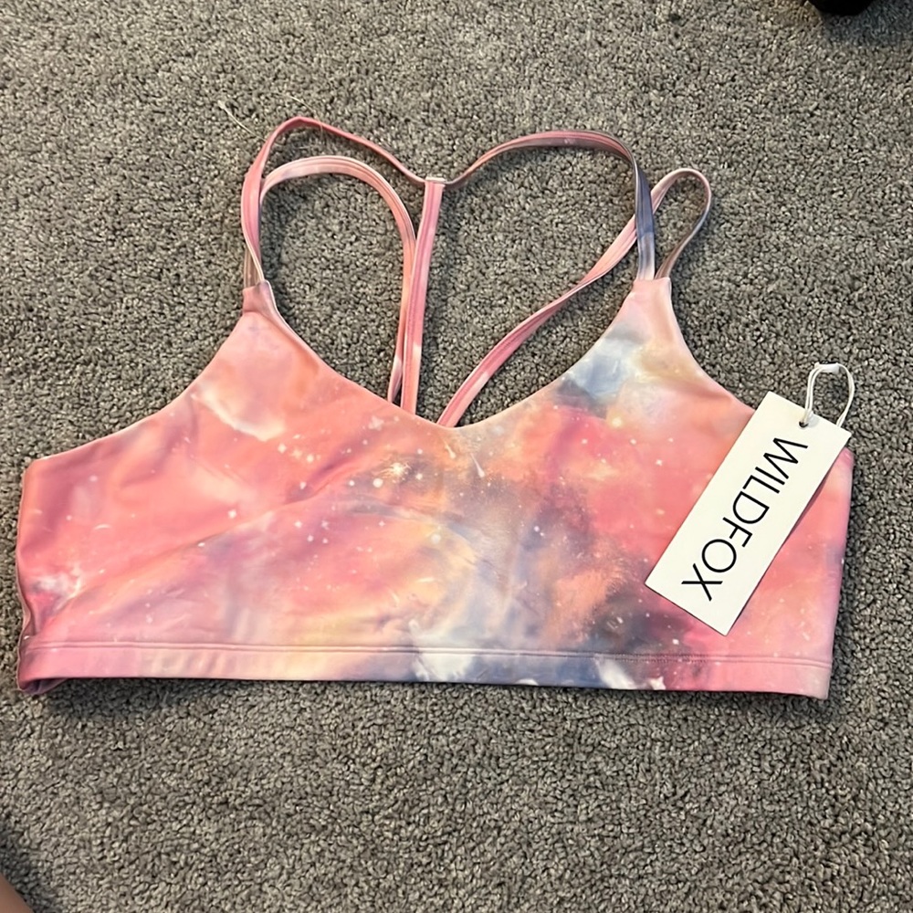 Wildfox Pink and Purple Sports Bra